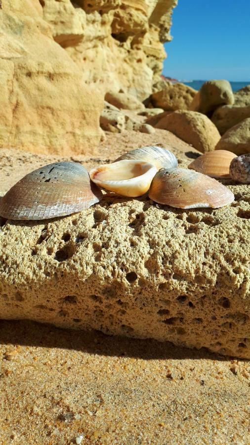 Apartament Olhos Do Mar Albufeira Zewnętrze zdjęcie